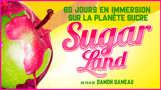 affiche film sugar land